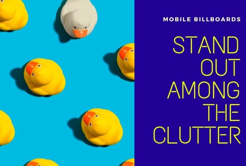 Stand Out Among The Clutter